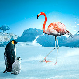The Big Chill