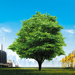 Ecomax