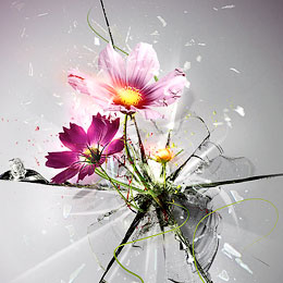 Burning flower